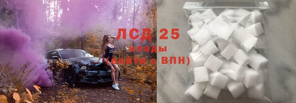 гидра Рославль