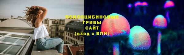 гидра Рославль