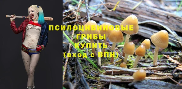 apvp Абинск