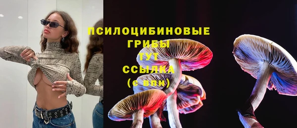 трава Алзамай